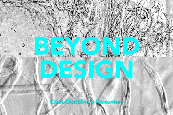 Disciplinary Encounters Beyond Design