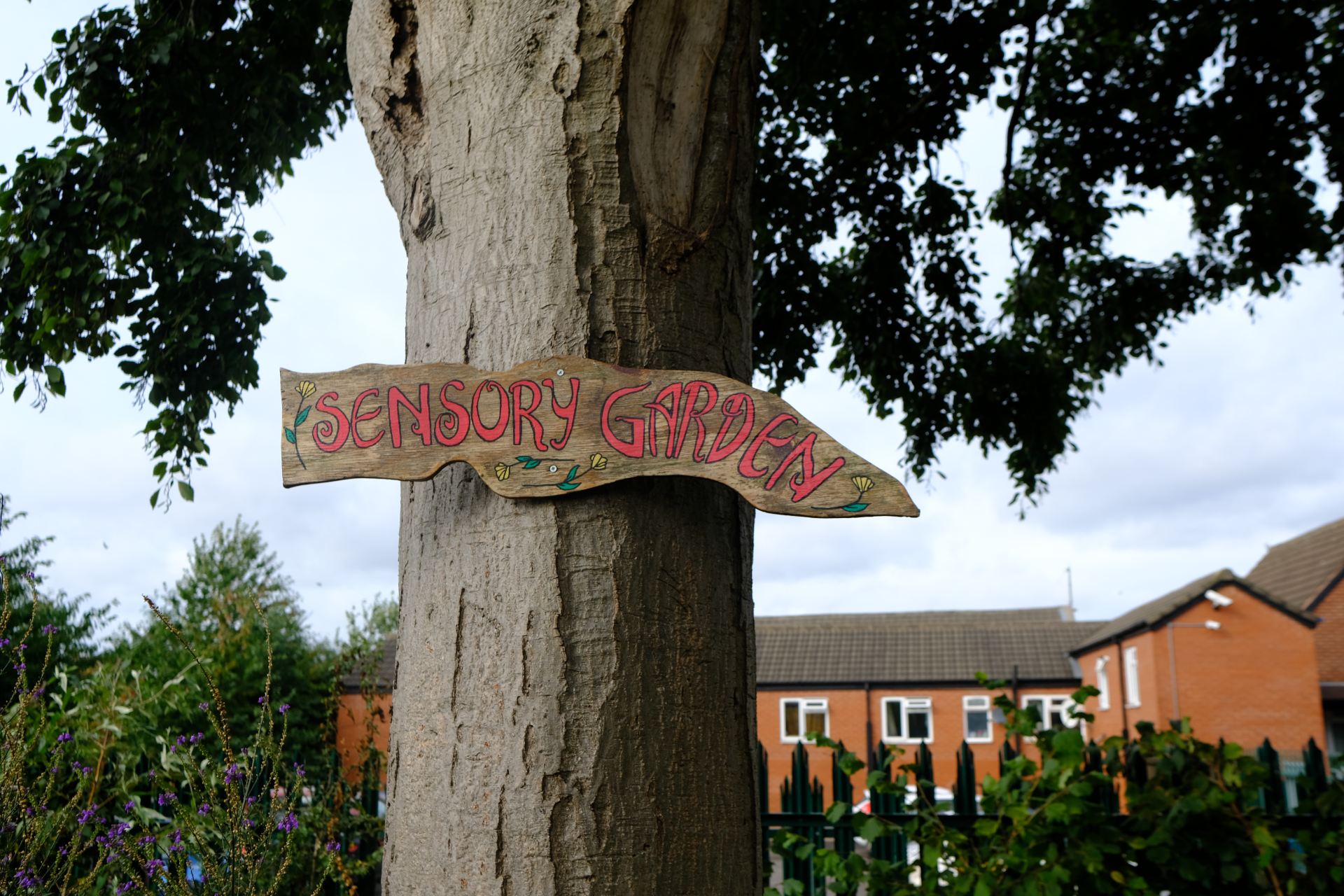 Wooden handpainted sign on tree saying 'Sensory Garden'